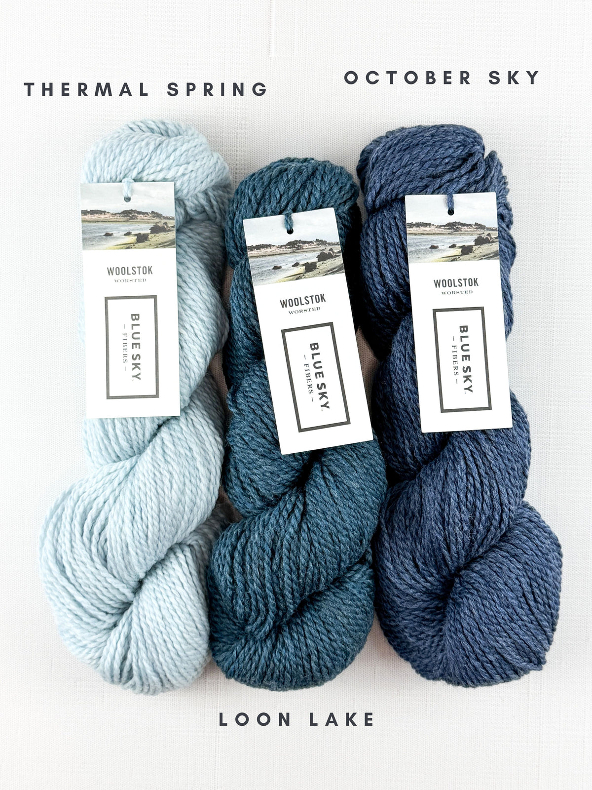 Blue Sky Fibers Woolstok Worsted 50g