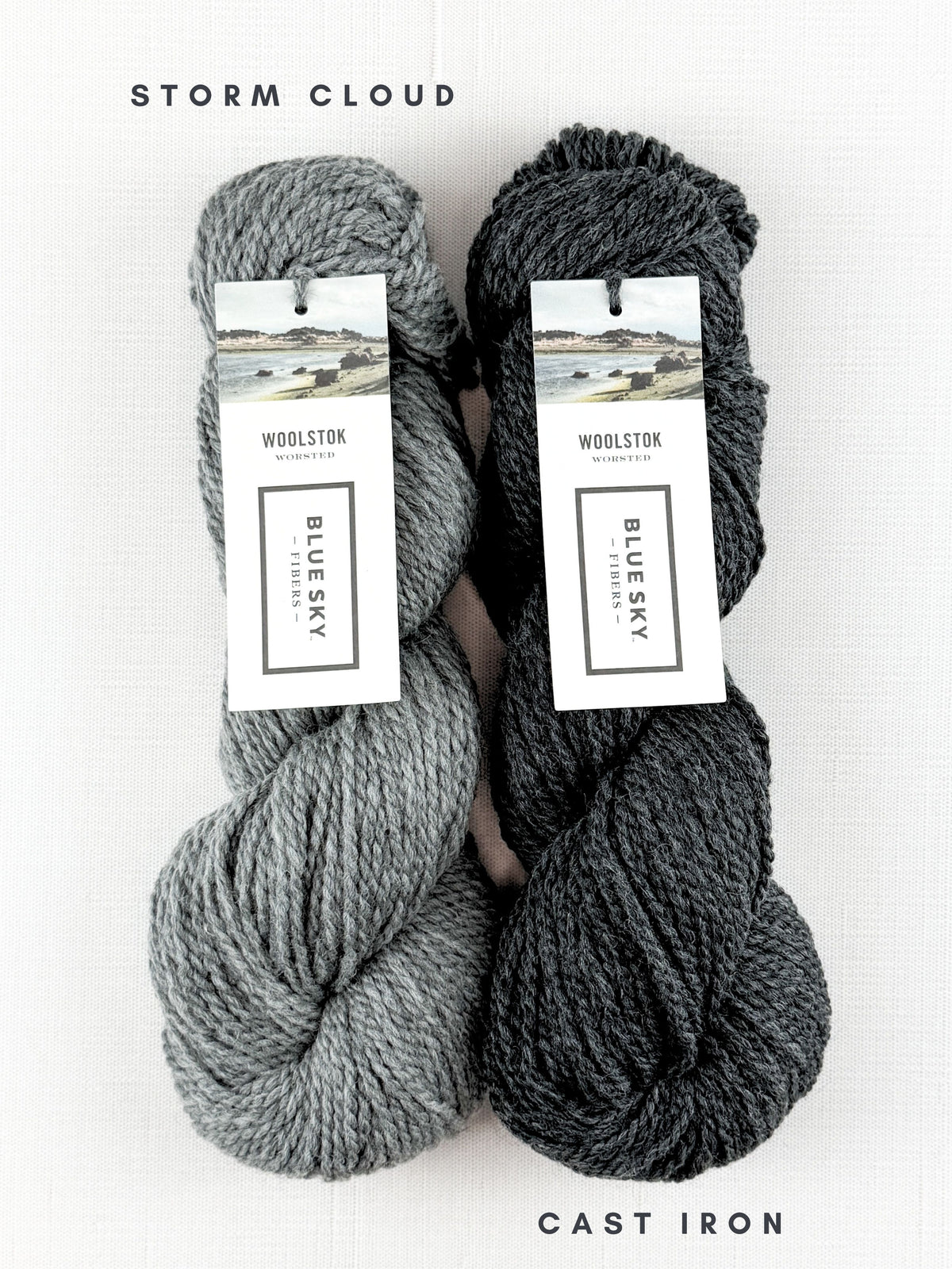 Blue Sky Fibers Woolstok Worsted 50g