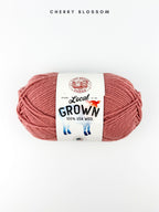 Lion Brand Local Grown Wool