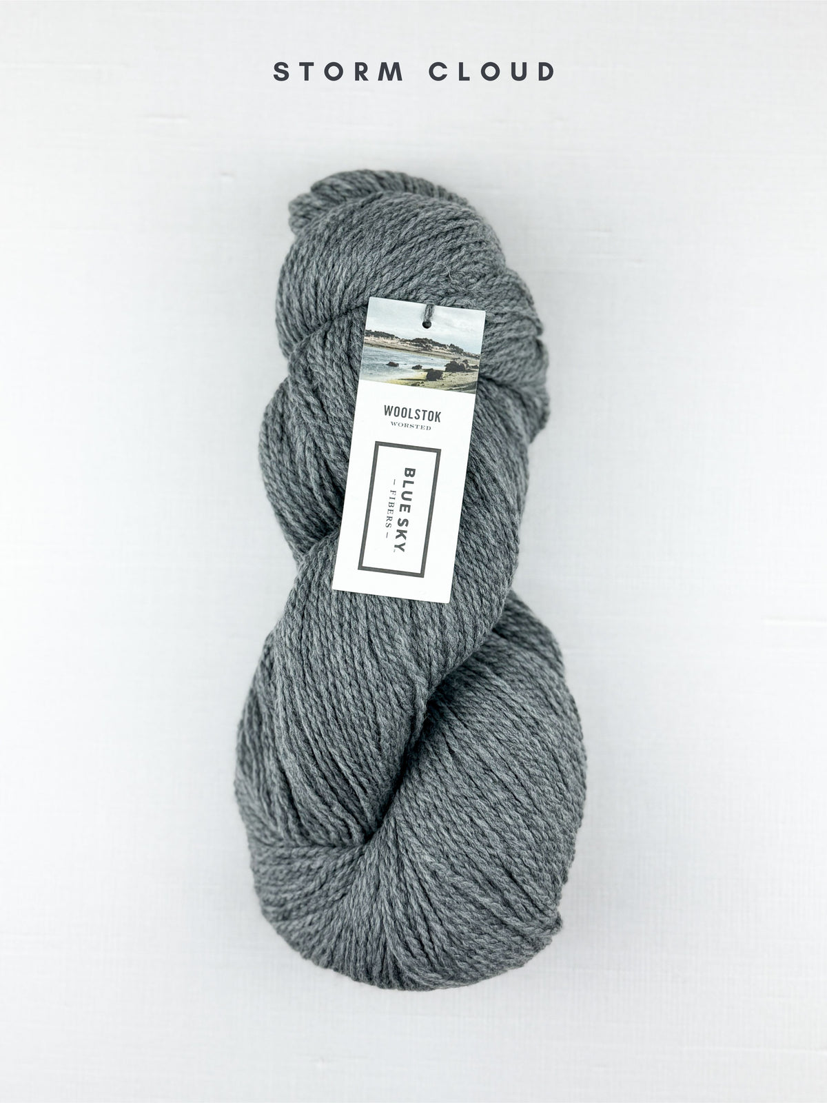 Blue Sky Fibers Woolstok Worsted 150g