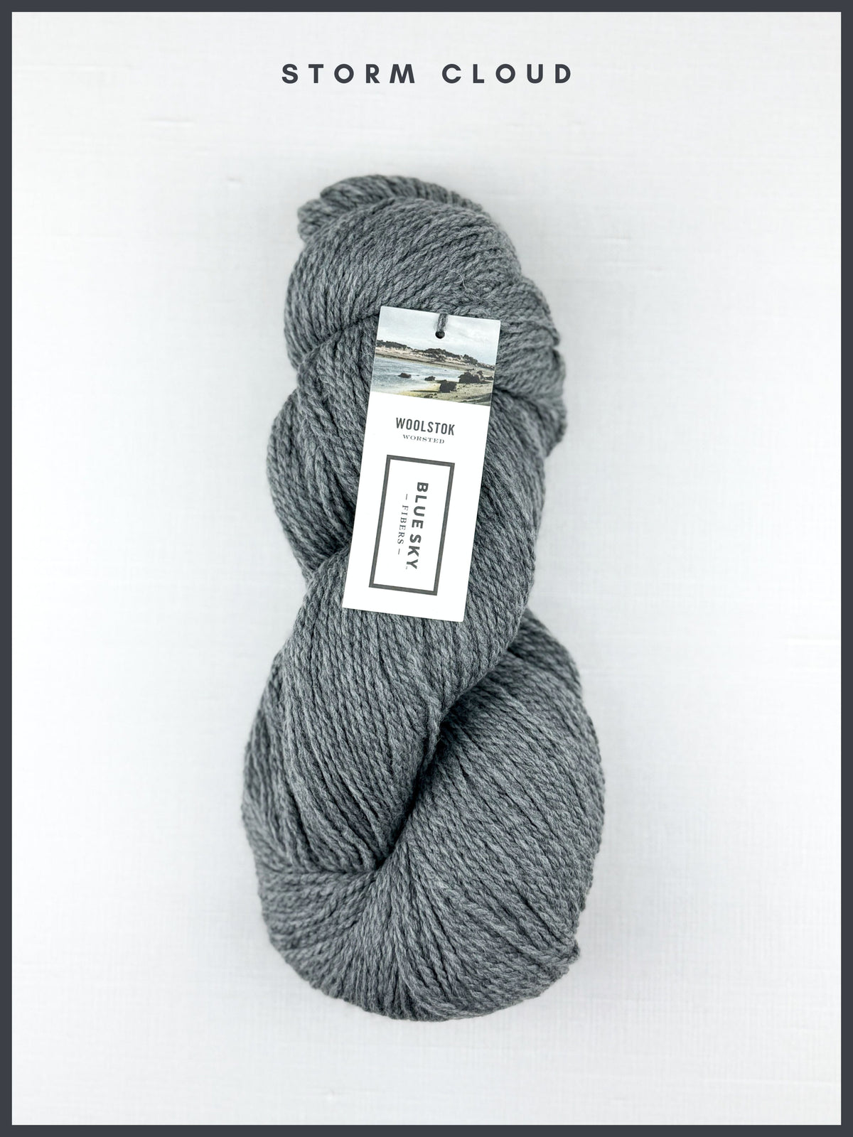 Blue Sky Fibers Woolstok Worsted 150g